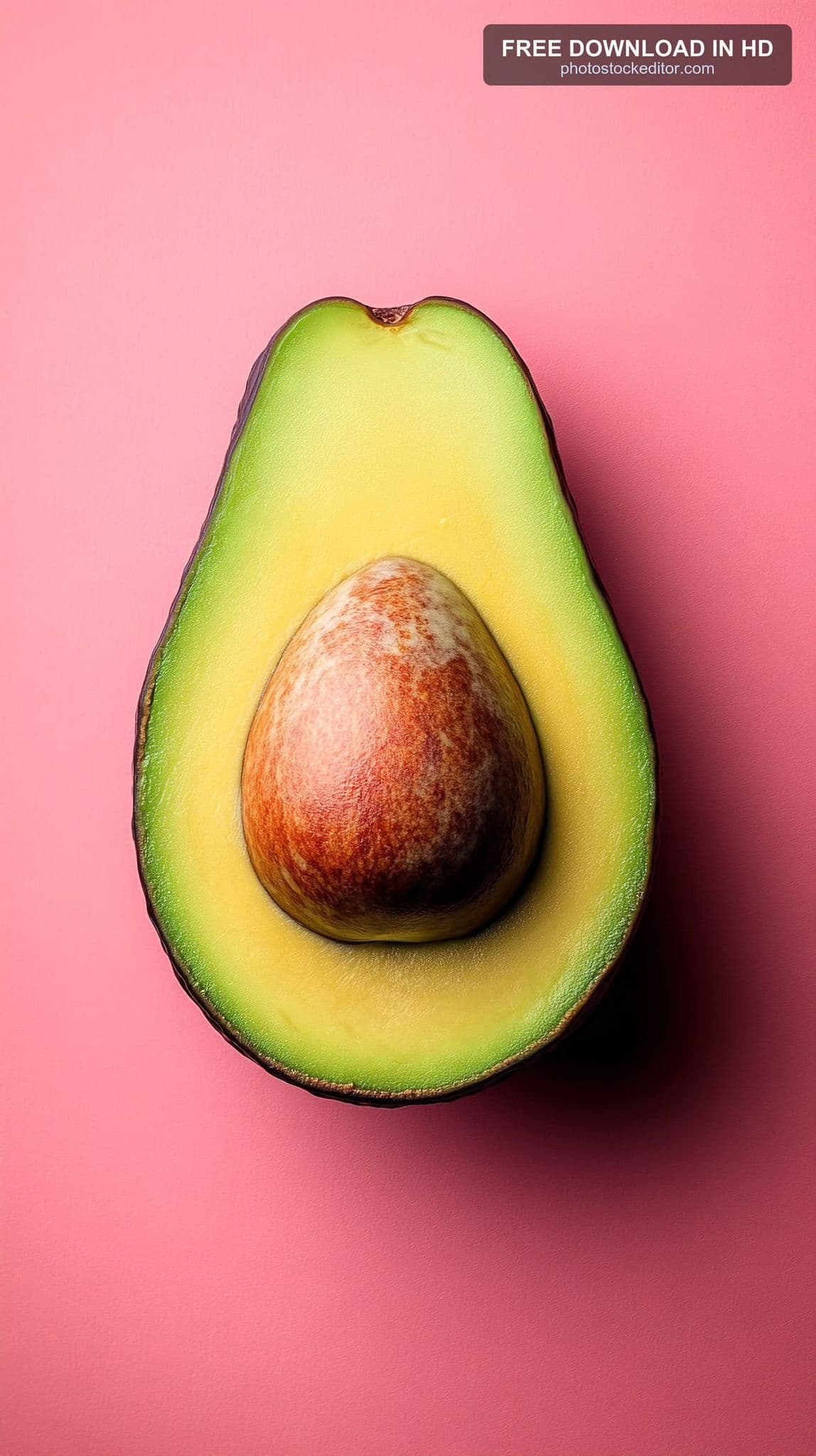 Avocado — Persea americana