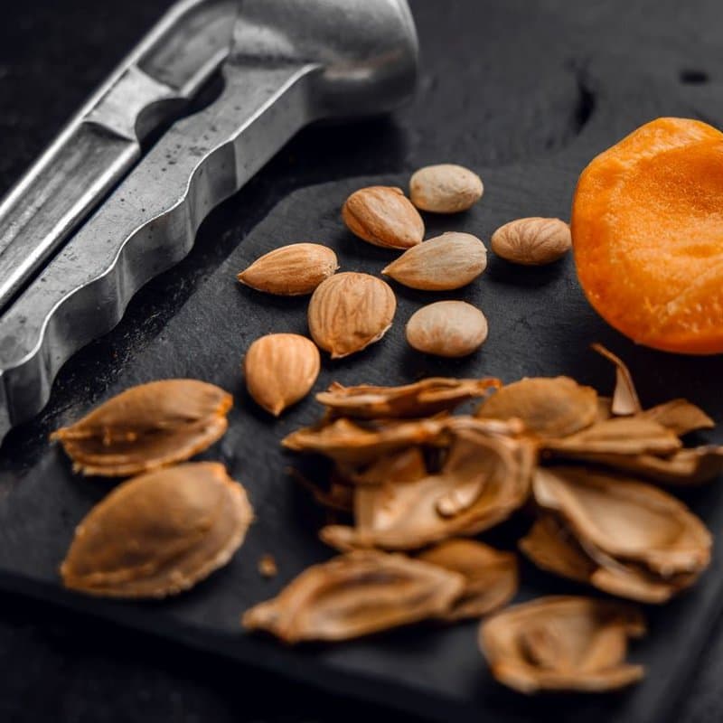 Apricot Kernel Oil