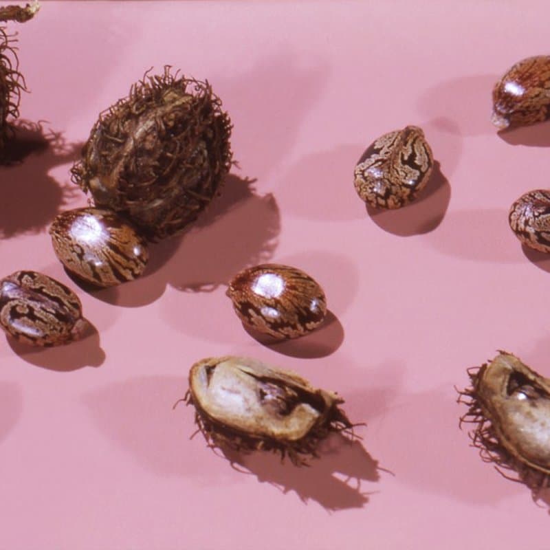 Castor Oil